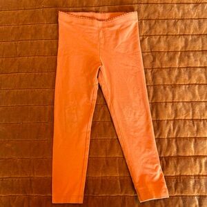 Tea Collection Raw Sienna Solid Leggings